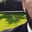 Salvador Aguilar's profile image