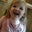 Ashlee Powell's profile image