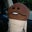 Thomas Ohashi's profile image
