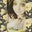 Ashley Aldrich's profile image