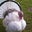Scott Hackler's profile image