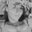 Jessica Rask's profile image