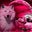 Lisa Hayes's profile image