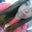Hanna Guzman's profile image