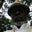Peter Giles's profile image