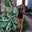 Trisha Jelinski's profile image