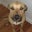 Sarah Moore's profile image