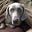 Scott Greenwald's profile image
