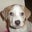 Kimchi Reichard's profile image