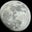 Trevor Shurtz's profile image