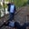 Rich Mascaro's profile image