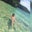 Andre Migliorini's profile image