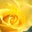 Jim Egan's profile image