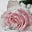 Sheila Ingel's profile image