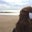 Ecem Ersoz's profile image