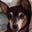 Jeff Mintzer's profile image