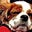 Cheryl Deneen-Walters's profile image