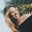 Ana Pau Covarrubias's profile image