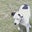 Jerry Hall's profile image