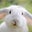 Don Baham's profile image