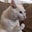 P ent's profile image