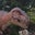 Fiona Reid's profile image