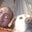 Scott Marasco's profile image