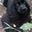 Jermyn RK's profile image