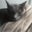 Patricia Hayes's profile image