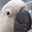 John Mac Donald's profile image