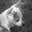 Ann-Eve Cunningham's profile image