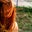 Lyn Weichert's profile image