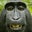 TOMY's profile image
