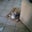 Christina Lolli's profile image
