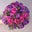 Sandra LaVista's profile image