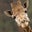 Jenn Sykes's profile image