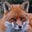Phil Lawson's profile image