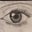 Feray Oner's profile image