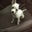 Dago Ruiz's profile image