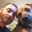 Greyson McDaniel's profile image