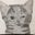 nate Kron's profile image
