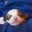Donna Gonzalez's profile image