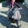 Gila Jung's profile image