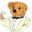 David Thomas's profile image