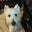 Scott Vaillancourt's profile image