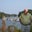 John Burke's profile image
