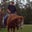 Jim Chandler's profile image