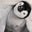 Jeremy Bernhardt's profile image