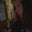 Penny Bennett's profile image