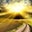Vernon Wells's profile image